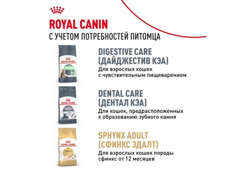 Royal Canin Breed cat Kitten Sphynx / Сухой корм Роял Канин для Котят породы Сфинкс в возрасте до 12 месяцев