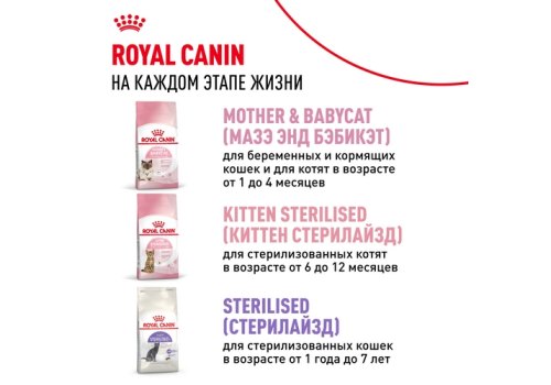 Royal Canin Kitten / Сухой корм Роял Канин Киттен для Котят в возрасте от 4 до 12 месяцев