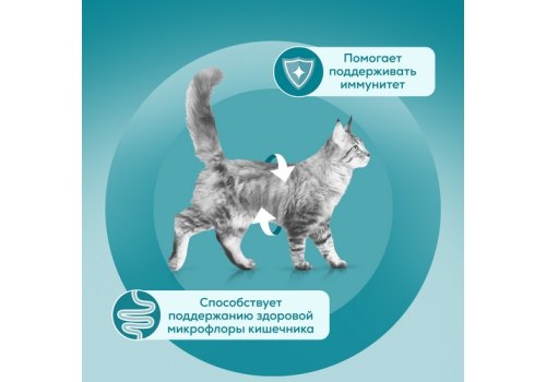 PURINA ONE KITTEN / Влажный корм Паучи Пурина УАН для котят с курицей (цена за упаковку)