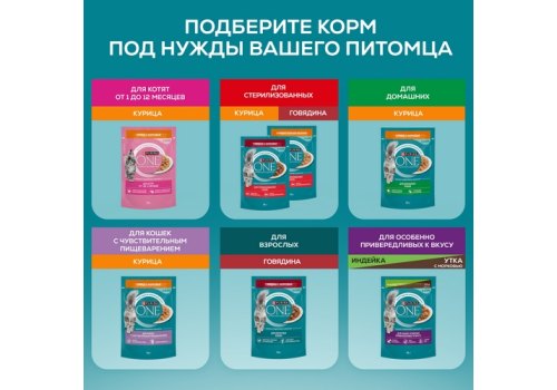 PURINA ONE HOUSECAT / Влажный корм Паучи Пурина УАН для взрослых кошек при домашнем образе жизни с курицей (цена за упаковку)
