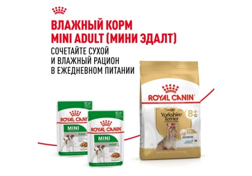 Royal Canin Breed dog Yorkshire Terrier 8+  / Сухой корм Роял Канин для Пожилых собак породы Йоркширский Терьер старше 8 лет