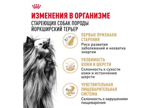 Royal Canin Breed dog Yorkshire Terrier 8+  / Сухой корм Роял Канин для Пожилых собак породы Йоркширский Терьер старше 8 лет