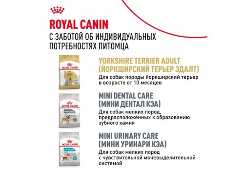 Royal Canin Breed dog Yorkshire Terrier 8+  / Сухой корм Роял Канин для Пожилых собак породы Йоркширский Терьер старше 8 лет