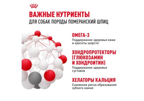 Royal Canin Breed dog Pomeranian Adult / Сухой корм Роял Канин для взрослых собак породы Померанский Шпиц от 8 месяцев и старше