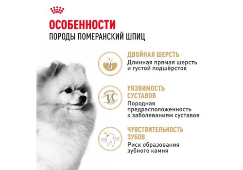 Royal Canin Breed dog Pomeranian Adult / Сухой корм Роял Канин для взрослых собак породы Померанский Шпиц от 8 месяцев и старше