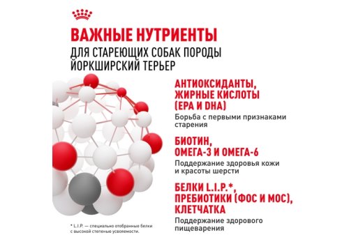 Royal Canin Breed dog Yorkshire Terrier 8+  / Сухой корм Роял Канин для Пожилых собак породы Йоркширский Терьер старше 8 лет