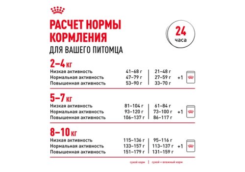 Royal Canin Breed dog Pomeranian Adult / Сухой корм Роял Канин для взрослых собак породы Померанский Шпиц от 8 месяцев и старше