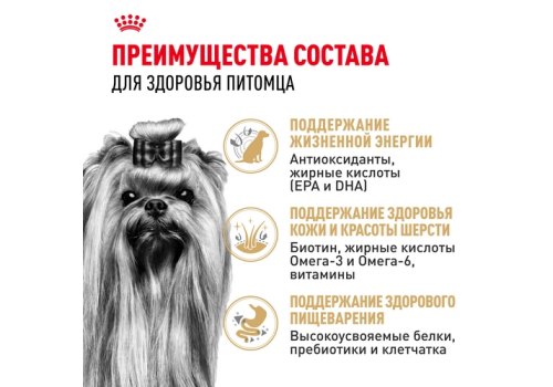 Royal Canin Breed dog Yorkshire Terrier 8+  / Сухой корм Роял Канин для Пожилых собак породы Йоркширский Терьер старше 8 лет