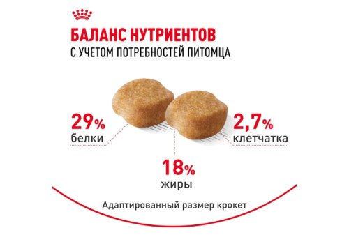 Royal Canin Breed dog Yorkshire Terrier 8+  / Сухой корм Роял Канин для Пожилых собак породы Йоркширский Терьер старше 8 лет