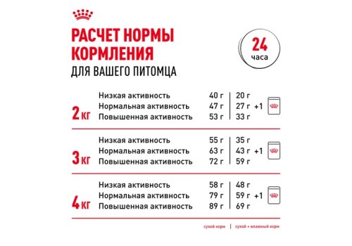 Royal Canin Breed dog Yorkshire Terrier 8+  / Сухой корм Роял Канин для Пожилых собак породы Йоркширский Терьер старше 8 лет