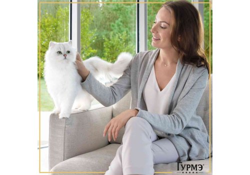 Гурмэ Натуральные рецепты / Влажный корм Паучи Пурина Гурмэ Натуральные рецепты для взрослых кошек с лососем (цена за упаковку)