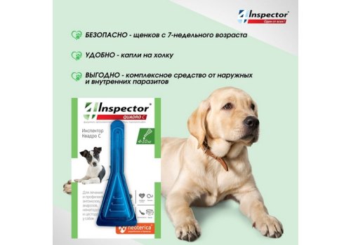 Inspector Quadro С / Капли Инспектор от Внешних и Внутренних паразитов для собак весом от 4 до 10 кг
