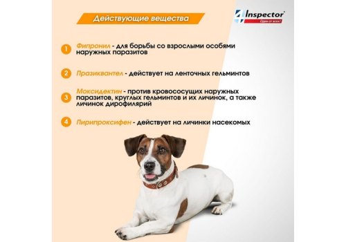 Inspector Quadro С / Капли Инспектор от Внешних и Внутренних паразитов для собак весом от 25 до 40 кг