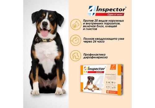 Inspector Quadro С / Капли Инспектор от Внешних и Внутренних паразитов для собак весом от 25 до 40 кг