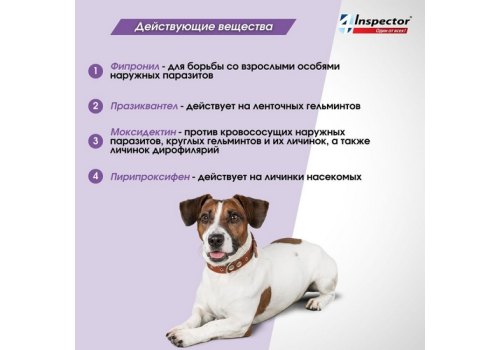 Inspector Quadro С / Капли Инспектор от Внешних и Внутренних паразитов для собак весом от 10 до 25 кг