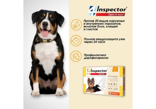 Inspector Quadro С / Капли Инспектор от Внешних и Внутренних паразитов для собак весом от 1 до 4 кг
