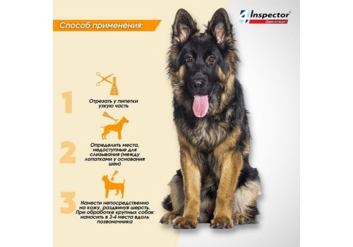 Inspector Quadro С / Капли Инспектор от Внешних и Внутренних паразитов для собак весом от 1 до 4 кг