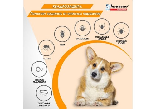 Inspector Quadro С / Капли Инспектор от Внешних и Внутренних паразитов для собак весом от 25 до 40 кг