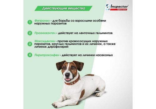 Inspector Quadro С / Капли Инспектор от Внешних и Внутренних паразитов для собак весом от 4 до 10 кг