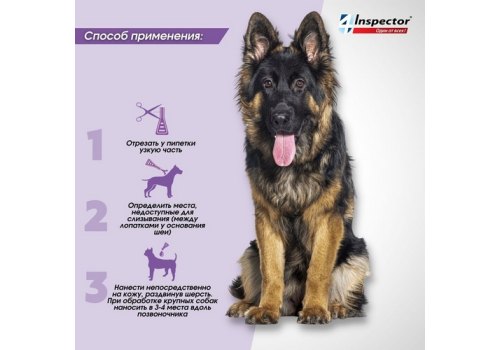 Inspector Quadro С / Капли Инспектор от Внешних и Внутренних паразитов для собак весом от 10 до 25 кг