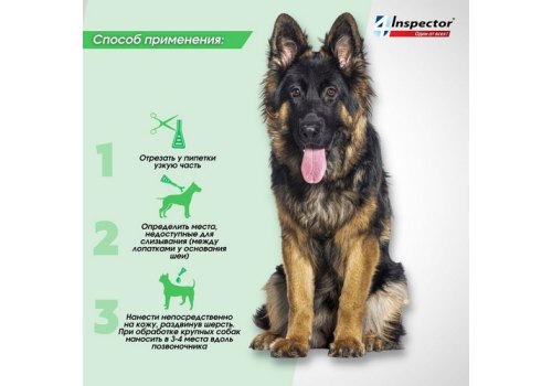 Inspector Quadro С / Капли Инспектор от Внешних и Внутренних паразитов для собак весом от 4 до 10 кг