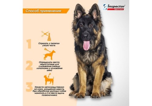 Inspector Quadro С / Капли Инспектор от Внешних и Внутренних паразитов для собак весом от 25 до 40 кг