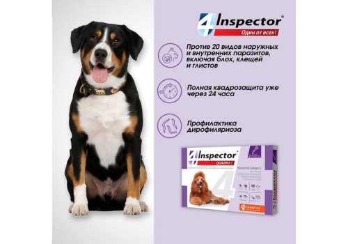 Inspector Quadro С / Капли Инспектор от Внешних и Внутренних паразитов для собак весом от 10 до 25 кг