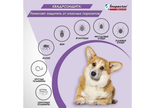 Inspector Quadro С / Капли Инспектор от Внешних и Внутренних паразитов для собак весом от 10 до 25 кг
