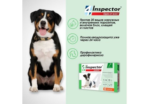 Inspector Quadro С / Капли Инспектор от Внешних и Внутренних паразитов для собак весом от 4 до 10 кг