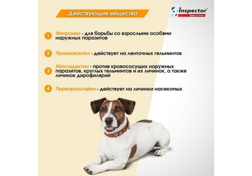 Inspector Quadro С / Капли Инспектор от Внешних и Внутренних паразитов для собак весом от 1 до 4 кг