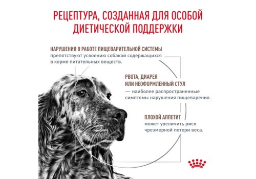 Royal Canin Gastro Intestinal GI25 / Ветеринарный сухой корм Роял Канин Гастро Интестинал для взрослых собак при нарушении Пищеварения