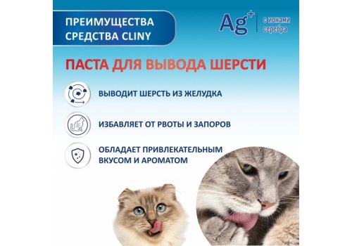 Cliny / Паста Клини с ионами Серебра и витамином В5 для кошек для Вывода Шерсти со вкусом Сыра Cliny / Паста Клини с ионами Серебра и витамином В5 для кошек для Вывода Шерсти со вкусом Сыра