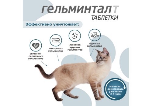 Гельминтал Т / Таблетки от Гельминтов для Котят и кошек весом до 4 кг