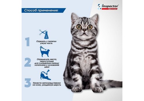 Inspector Quadro К / Капли Инспектор от Внешних и Внутренних паразитов для кошек весом от 8 до 15 кг