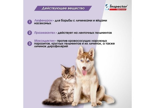 Inspector Quadro Tabs / Таблетки Инспектор от Внешних и Внутренних паразитов для кошек и собак весом весом от 8 до 16 кг
