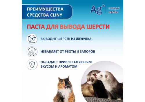 Cliny / Паста Клини с ионами Серебра и витамином В5 для кошек для Вывода Шерсти со вкусом Лосося