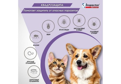 Inspector Quadro Tabs / Таблетки Инспектор от Внешних и Внутренних паразитов для кошек и собак весом весом от 8 до 16 кг