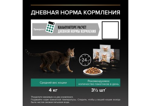 PRO PLAN ADULT / Влажный корм Паучи ПРО ПЛАН для взрослых кошек с ягненком в желе (цена за упаковку)