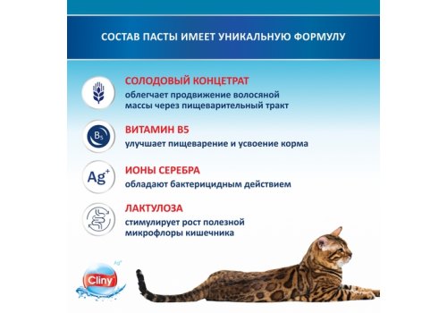Cliny / Паста Клини с ионами Серебра и витамином В5 для кошек для Вывода Шерсти со вкусом Лосося