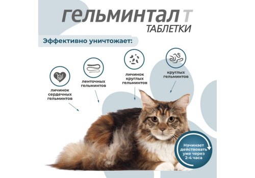 Гельминтал Т / Таблетки от Гельминтов для Котят и кошек весом более 4 кг
