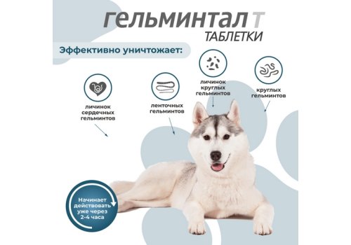 Гельминтал Т / Таблетки от Гельминтов для Щенков и собак весом более 10 кг
