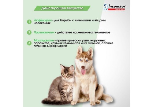 Inspector Quadro Tabs / Таблетки Инспектор от Внешних и Внутренних паразитов для кошек и собак весом от 2 до 8 кг Inspector Quadro Tabs / Таблетки Инспектор от Внешних и Внутренних паразитов для кошек и собак весом от 2 до 8 кг