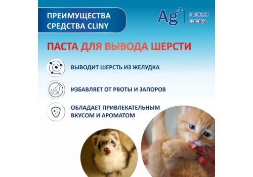 Cliny / Паста Клини с ионами Серебра и витамином В5 для кошек для Вывода Шерсти со вкусом Курицы Cliny / Паста Клини с ионами Серебра и витамином В5 для кошек для Вывода Шерсти со вкусом Курицы