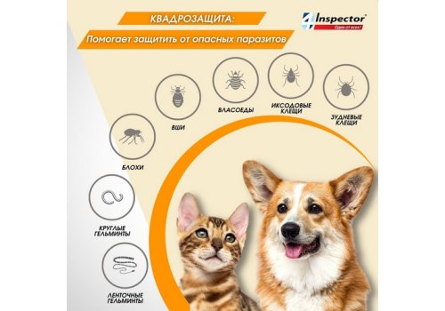 Inspector Quadro Tabs / Таблетки Инспектор от Внешних и Внутренних паразитов для кошек и собак весом от 0,5 до 2 кг