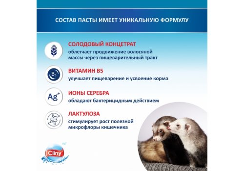 Cliny / Паста Клини с ионами Серебра и витамином В5 для кошек для Вывода Шерсти со вкусом Курицы Cliny / Паста Клини с ионами Серебра и витамином В5 для кошек для Вывода Шерсти со вкусом Курицы