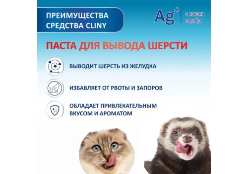 Cliny / Паста Клини с ионами Серебра и витамином В5 для кошек для Вывода Шерсти со вкусом Сыра