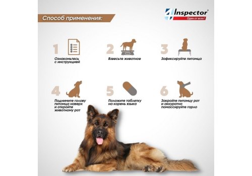 Inspector Quadro Tabs / Таблетки Инспектор от Внешних и Внутренних паразитов для собак весом от 16 кг
