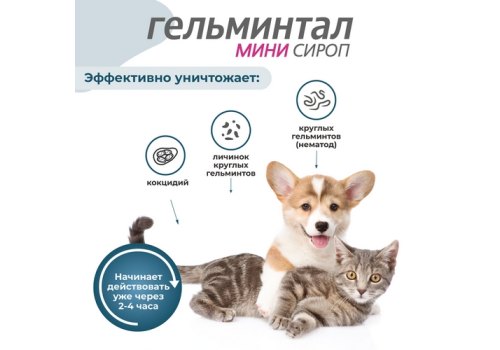 Гельминтал Мини Сироп от Гельминтов для Щенков Котят собак и кошек