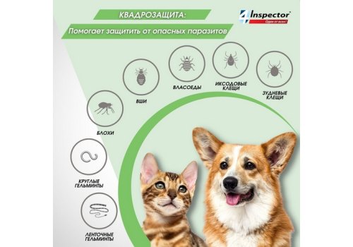 Inspector Quadro Tabs / Таблетки Инспектор от Внешних и Внутренних паразитов для кошек и собак весом от 2 до 8 кг Inspector Quadro Tabs / Таблетки Инспектор от Внешних и Внутренних паразитов для кошек и собак весом от 2 до 8 кг