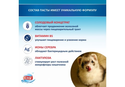 Cliny / Паста Клини с ионами Серебра и витамином В5 для кошек для Вывода Шерсти со вкусом Лосося